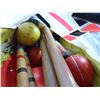 Image 3 : Croquet Set-unknown if complete