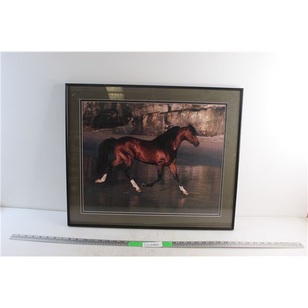 Framed Horse Print 20'' x 24''