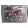 Image 2 : Framed Horse Print 20'' x 24''