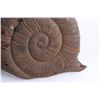 Image 8 : Frog and Snail Metal Wall Decor