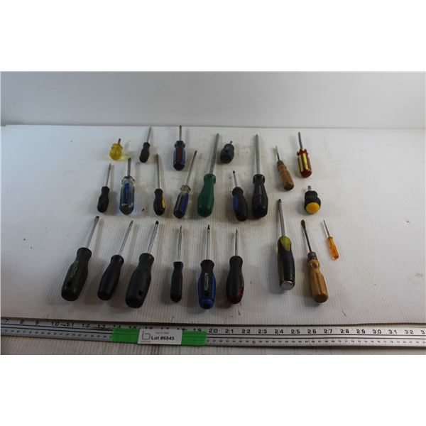 (23) Screwdrivers