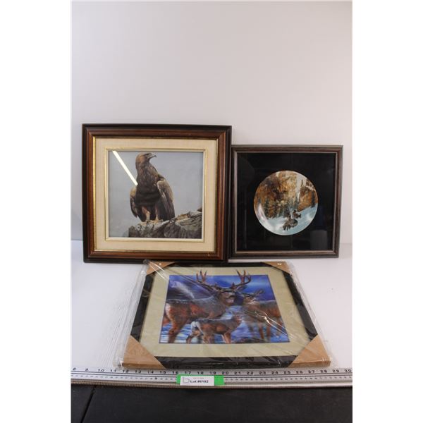 (3) Wildlife Pictures: Cougar Collector Plate Framed, Eagle, Holographic Deer (NIB)