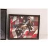 Image 2 : (2) Eagle Pictures in Frames - 11" x 9"