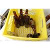 Image 4 : Yellow Crate, Assorted Beer Bottles and Cans