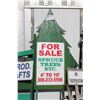 Image 3 : (9) Wood Signs: Wooden Christmas Tree Sign & Wakaw Hiking Checkpoint Sign, Pick Fruit, Sale, Trespas