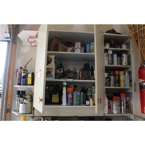 Garden & Shop Chemicals: WD-40, Plant Fertilizers, Spray Paint, Insecticide, Misc.