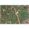 Image 3 : Long Tree Trimmer - 14Ft Handle