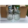 Image 1 : (2) Clear Glass Carboys - 16.5" Tall