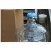 Image 2 : (2) Clear Glass Carboys - 16.5" Tall
