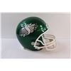 Image 2 : Saskatchewan Roughriders Riddell Replica Helmet
