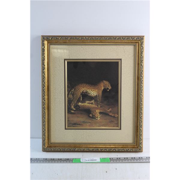Framed Leopards Print 16'' x 14''