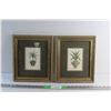 Image 1 : (2) Framed Floral Prints 12'' x 10''