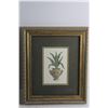 Image 3 : (2) Framed Floral Prints 12'' x 10''