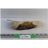 Image 1 : Walrus Tusk Chunk