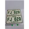 Image 1 : 1959 Alberta License Plate Pair