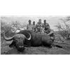 Image 1 : SIGNATURE ADVENTURES - 7 day Cape Buffalo hunt for 2 Hunters in South Africa