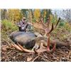 Image 3 : British Columbia Moose Hunt with Primitive Outfitting