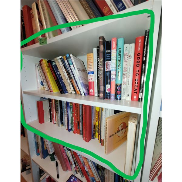 Books on 2 Shelves - See Photos for Titles