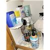 Image 9 : Contents of Upstairs Bathroom