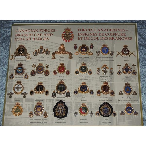 #25 CANADIAN MILITARY 25 CAP BADGE FRAMED SET W/