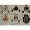 Image 5 : #25 CANADIAN MILITARY 25 CAP BADGE FRAMED SET W/