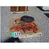 Image 1 : PALLET OF EXTENSION CORDS, DROP LITES AND AIR HOSES