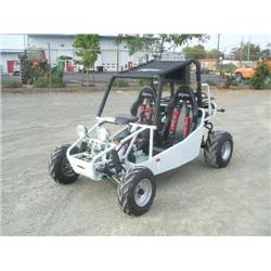 JOYNER SAND DEVIL 250CC DUNE BUGGY, s/n L5BG1EC6461010948: