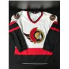 Image 1 : VINTAGE 90s OTTAWA SENTATORS JERSEY