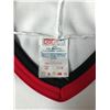 Image 2 : VINTAGE 90s OTTAWA SENTATORS JERSEY