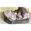 Image 2 : 21.0" X 24" CARNELIAN WITH AMETHYST BONSAI TREE $4500.00