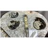 Image 2 : 13" X 12" ORTHOCERAS FOSSIL PLAQUE $3200.00