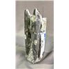 Image 2 : 8" ORTHOCERAS FOSSIL SPECIMEN $1800.00
