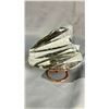 Image 1 : 6" X 5" ORTHOCERAS FOSSIL PLATE $1800.00