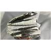 Image 2 : 6" X 5" ORTHOCERAS FOSSIL PLATE $1800.00
