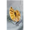 Image 2 : 4.75" AMMONITE FOSSIL ON STAND $1200.00