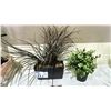 Image 3 : LOT OF SILK PLANT DECOR & GLASS OIL LAMP