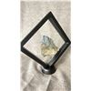 Image 2 : LAZURITE/ PYRITE APPROX 3.7" RETAIL $2200