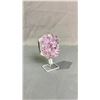 Image 2 : AMETHYST CLUSTER APPROX 5" RETAIL $600