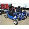 Image 1 : JOYNER SAND DEVIL 250CC DUNE BUGGY, s/n L5BG1EC6461010691: