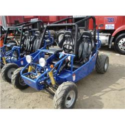 JOYNER SAND DEVIL 250CC DUNE BUGGY, s/n L5BG1EC6461010707: