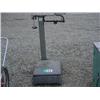 Image 1 : FAIRBANKS SCALE