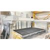 Image 2 : 2016 DENVER TECNIKA 3500 5 AXIS BRIDGE SAW (1806 OPERATION HOURS) LIGHT SENSOR SAFETY FENCE/REMOTE