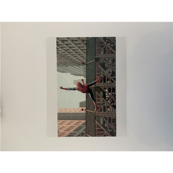 Spider-Man 8x10 photo unsigned