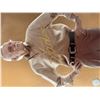 Image 1 : Stan Lee signed photo