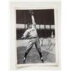 Image 1 : New York Yankees Phil Rizzuto signed photo