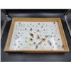 Image 1 : Insect Taxidermy Collection in Display Case