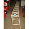Image 1 : QUANTITY OF LADDER