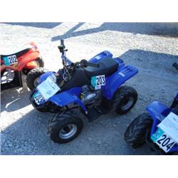TERMINATOR 70CC ATV, s/n L4BGUF03853200503: