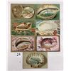 Image 1 : Shellborder Postcards 55