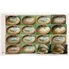 Image 2 : Shellborder Postcards 55